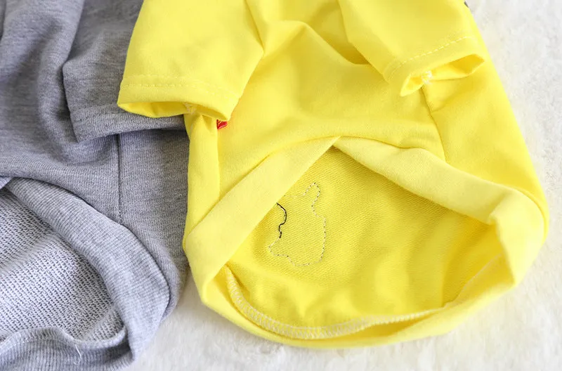 Dog Sweatshirts for All Seasons